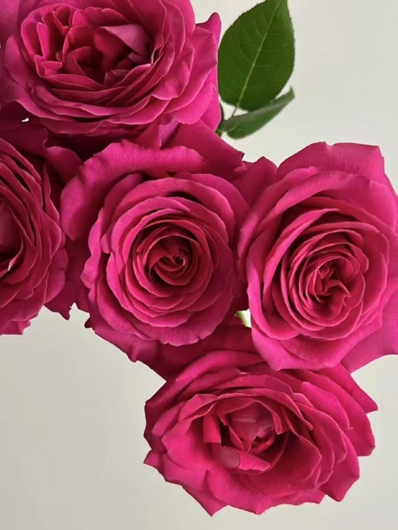 Ruby 18k Gold Pendant (Item No. SA106)