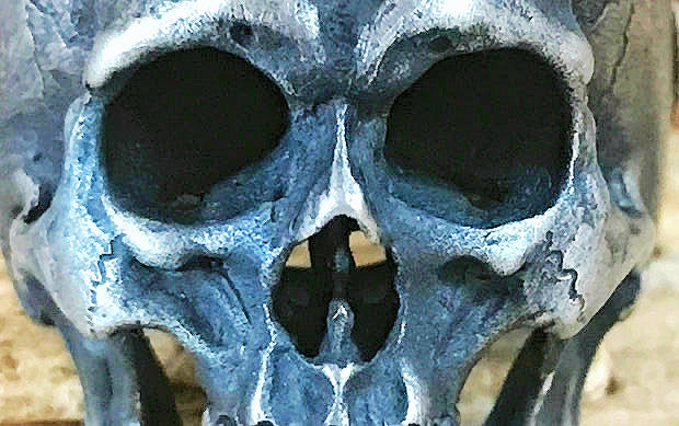 Skull Silver Ring (Item No. SC015)