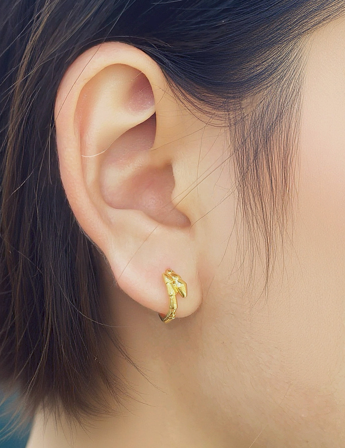 Snake 18k Gold Earring (Item No. SJER012）
