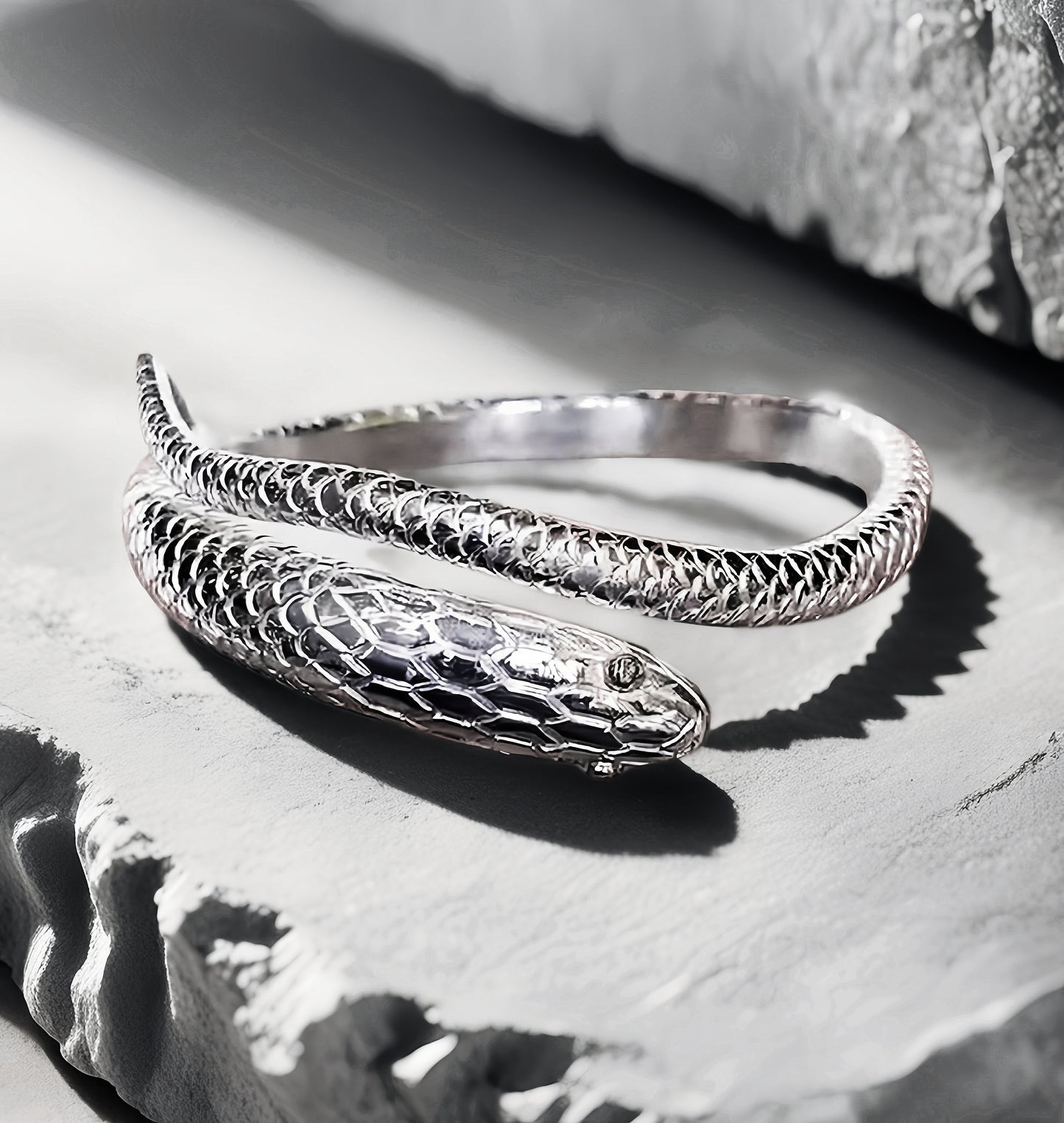 Ouroboros Silver Bangle (Item No. B0252)