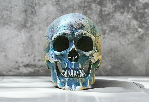 Skull Silver Ring (Item No. SC015)