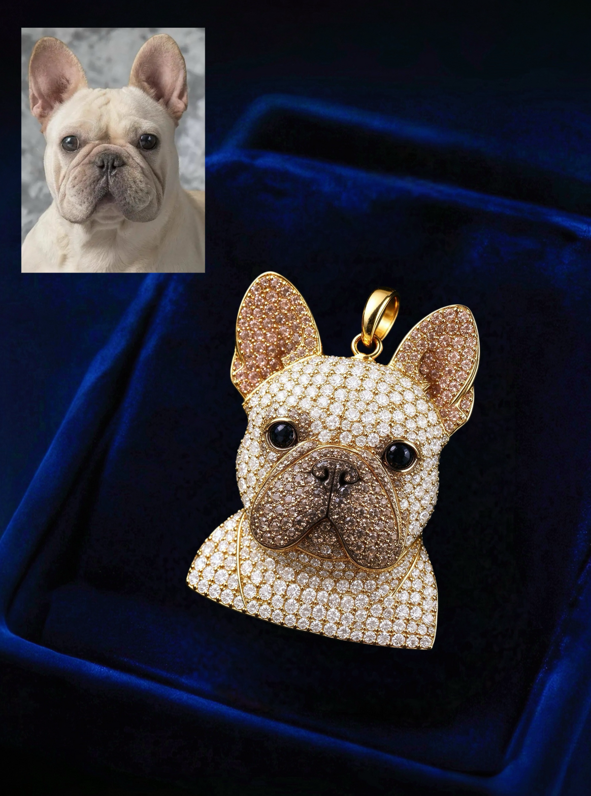Turn Your Pet Portrait Into Luxury |  Encrypted NFC